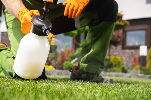 Best Insect Control  in Big Bass Lake, PA