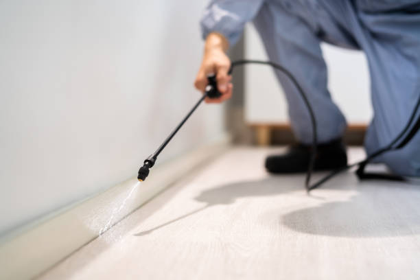 Best Flea Control Services  in Big Bass Lake, PA