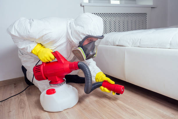 Best Mosquito Control Services  in Big Bass Lake, PA