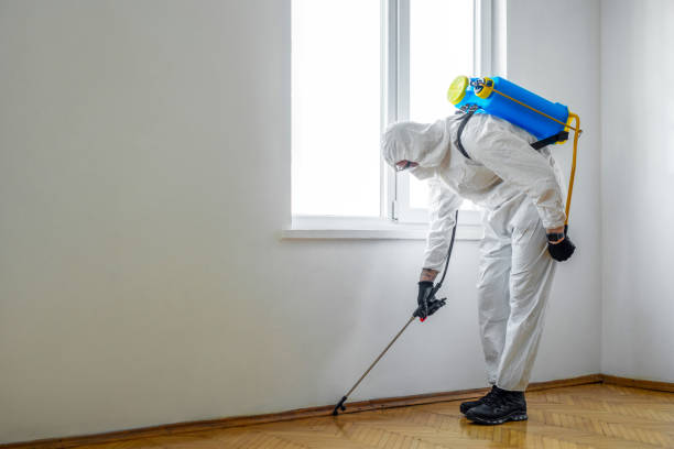 Insect Control in Big Bass Lake, PA