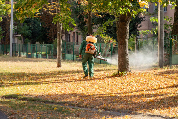 Best Pest Control Near Me  in Big Bass Lake, PA