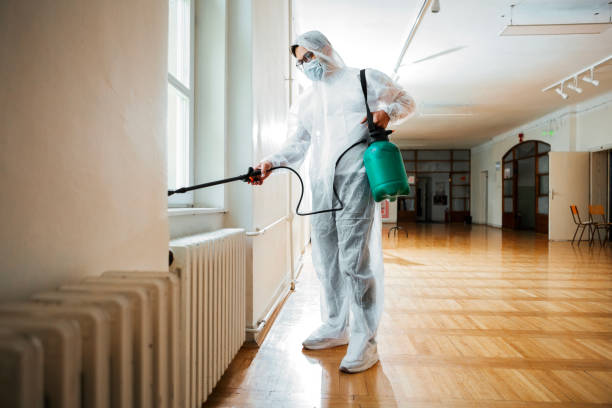 Best Local Pest Control Services  in Big Bass Lake, PA