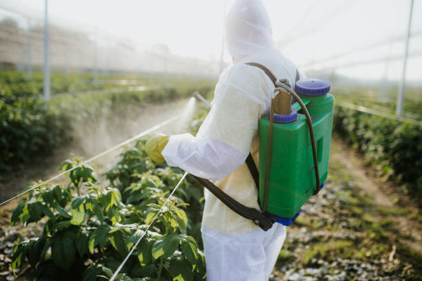 Best Emergency Pest Control  in Big Bass Lake, PA